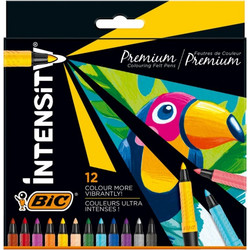 BIC Intensity Premium Μαρκαδόροι Ζωγραφικής Σετ 12 Χρώματα