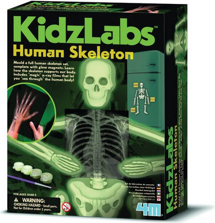 4M KidzLabs Ανθρώπινος Σκελετός