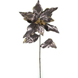 Λουλούδι κλαδί αλεξανδρινό με 2 φύλλα, μολυβί χρ ZAROS