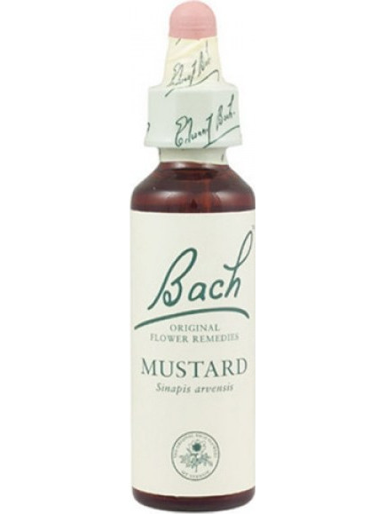Power Health Bach Mustard, Ανθοΐαμα για την Αντιμετώπιση των Συναισθηματικών Απαιτήσεων 20ml