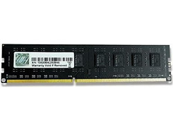 G.Skill NS 4GB (1X4GB) DDR3 RAM 1333MHz