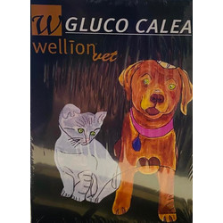 Wellion Gluco Calea Μετρητής Σακχάρου για Ζώα 1 Τεμάχιο