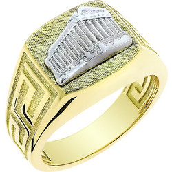 Ανδρικό Δαχτυλίδι Παρθενώνας Λευκόχρυσος & Χρυσός Κ18 (P-67086) / Λευκόχρυσο Κίτρινο Χρυσό K18