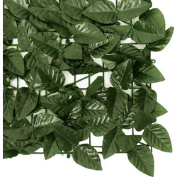 Διαχωριστικό Βεράντας με Φύλλα Σκούρο Πράσινο 600 x 100 εκ