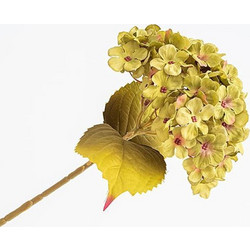 Λουλούδι Ορτανσία Πράσινη 17x45cm