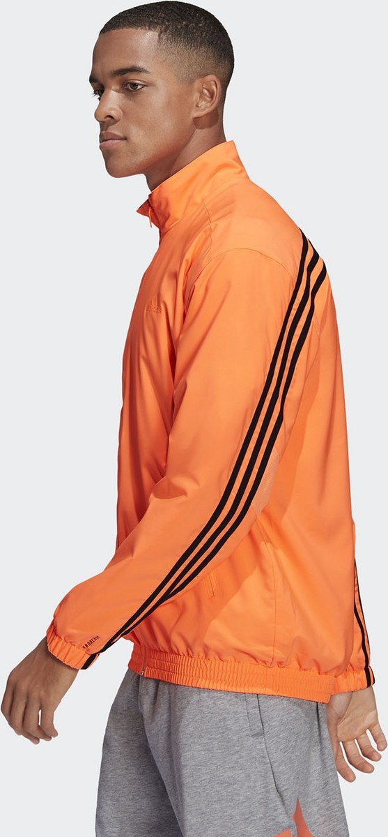gl5681