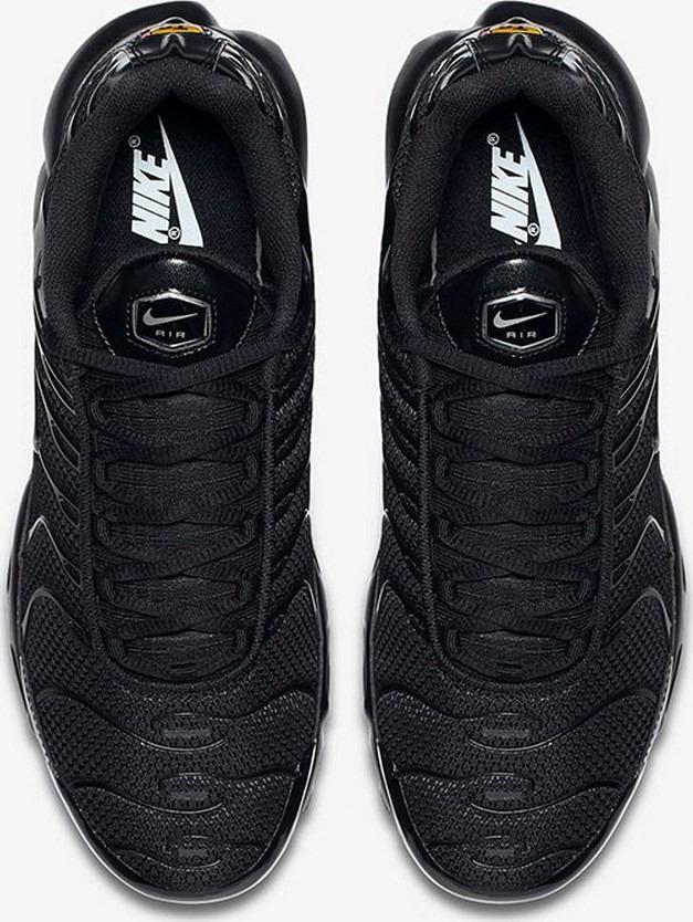 Nike Air Max Plus TN 604133-050 | BestPrice.gr