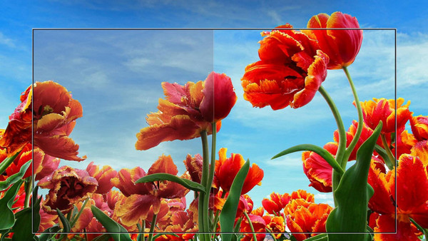 LG 32LQ631C Smart Τηλεόραση 32" Full HD DLED HDR: Λεπτομέρεια & χρώματα