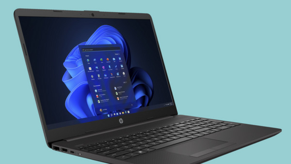 HP 255 G8: Οθόνη 15.6’’