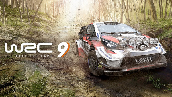 WRC 9 Key PC: Συνολική αποτίμηση