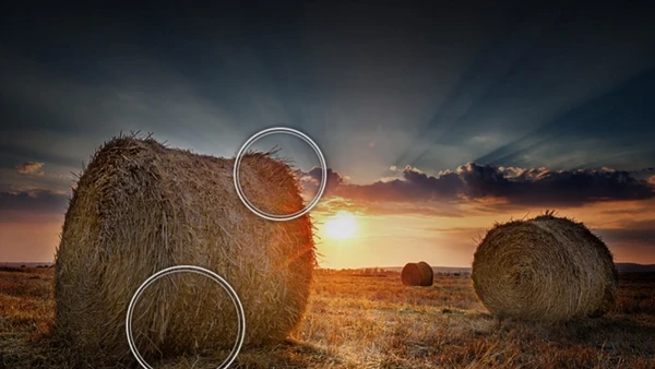 Samsung QE55Q80DAT Smart Τηλεόραση 55" 4K UHD QLED HDR: Πάνελ QLED