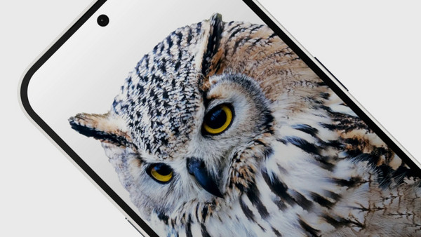 Nothing Phone 128GB: Οθόνη