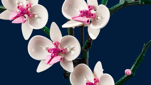Lego Botanicals Orchid για 18+ Ετών 10311: Ένα όμορφο διακοσμητικό