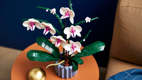 Lego Botanicals Orchid για 18+ Ετών 10311: Κομψό & κατάλληλο για τον χώρο σου