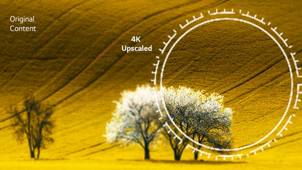 LG 75UR78006LK Smart Τηλεόραση 75" 4K UHD DLED HDR: Κινηματογραφική ποιότητα εικόνας