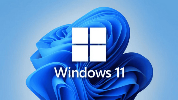 HP Victus 15-fb3700nv: Λειτουργικό σύστημα Windows 11