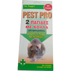 EffectivaPro Pest Pro Ποντικοπαγίδες με Κόλλα Μεσαίες 2τμχ