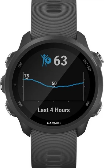 Garmin forerunner 245 gps best sale running smartwatch with music