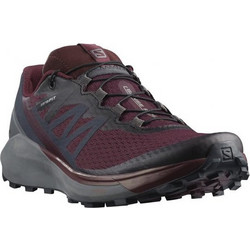 Salomon Sense Ride 4 Ανδρικά Αθλητικά Παπούτσια Trail Running Μπορντό 413053