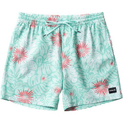 Hurley Ανδρικό Μαγιό Σορτς με Σχέδια Τιρκουάζ MBS0011890-H381