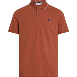 Calvin Klein Ανδρική Μπλούζα Polo Κοντομάνικη Rusted K10K112751-S0B