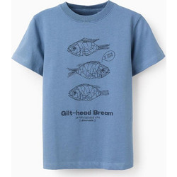 Zippy Παιδικό T-Shirt Κοντομάνικο Μπλε 31071124003