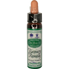 Ainsworths Dr.Bach Recovery Remedy Ανθοΐαμα σε Σταγόνες για Φόβο 10ml