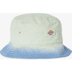 Dickies Seatac Ανδρικό Καπέλο Bucket Υφασμάτινο Πράσινο Mint DK0A4XPFC341