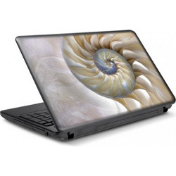 Κοχύλι Αυτοκόλλητο για Laptop 15.6" 37x25cm