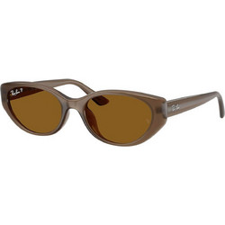 Ray-Ban RB4457D 677983 Γυναικεία Γυαλιά Ηλίου Cat Eye Κοκάλινα Καφέ με Καφέ Φακό