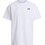 The North Face Evolution Simple Dome Ανδρικό Αθλητικό T-Shirt Λευκό NF0A8CZ2TNF
