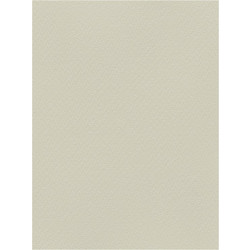 Favini Χαρτόνι Κανσόν Γκρι 70x100cm 831.70100.06T