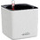 Lechuza Cube Color16 Αυτοποτιζόμενη Γλάστρα Εσωτερικού Χώρου Τετράγωνη Πλαστική Λευκή 17x17x16cm 13580