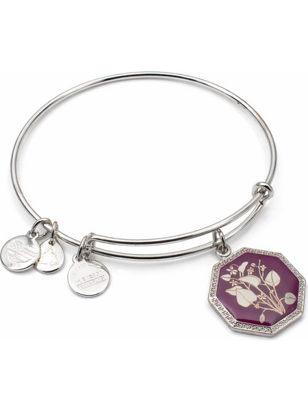 Alex and Ani Γυναικείο Βραχιόλι Βέργα Ασημί A14EB90SS