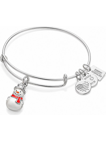 Alex and Ani Γυναικείο Βραχιόλι Βέργα Ασημί A16EB91SS