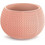 Prosperplast Splofy Bowl Γλάστρα Στρογγυλή Πλαστική Σομόν 23.9x16.1cm DKSP240-488U
