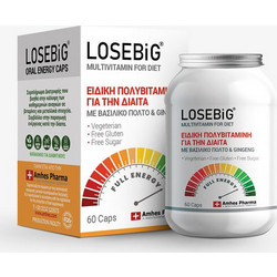 Amhes Lose Big Multivitamin For Diet 60 Κάψουλες