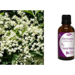 Nature & Body Elder European 50ml
