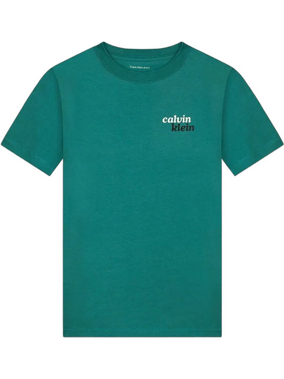 Calvin Klein Παιδικό T-Shirt Κοντομάνικο Πράσινο LVCKTJA39B 16y