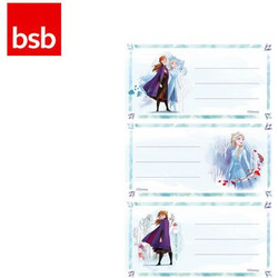 BSB Ετικέτες Αυτοκόλλητες Σχολικές 7.8x12.5cm Frozen 3 Φύλλα