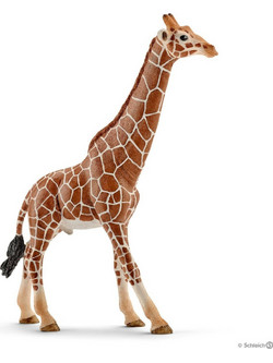 Schleich Wild Life Αρσενική Καμηλοπάρδαλη 14749