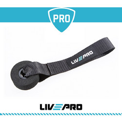 Άγκιστρο Πόρτας LivePro Β-8403