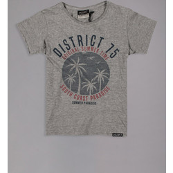 District75 Παιδικό T-Shirt Κοντομάνικο Γκρι 118KBSS-161