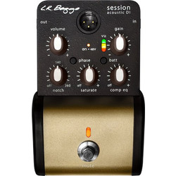 L.R. Baggs Session Accoustic DI