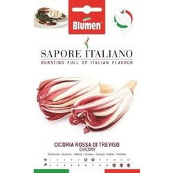 Ραδίκι Δίχρωμο Rossa di Treviso