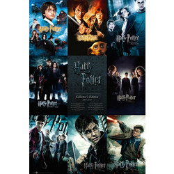 Harry Potter Collection (FP2698) 61x91.5cm