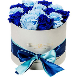 Forever Roses Μπλε-Γαλάζιο Deluxe 19x20cm 14 τριαντάφυλλα