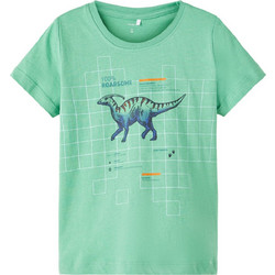 Name It Παιδικό T-Shirt Κοντομάνικο Lime 13213252