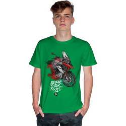 Break The Rules - GS1200 - DC (Κοντομάνικο Ανδρικό / Unisex) - Kelly green