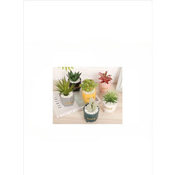 Γλαστράκι Διακοσμητικό με Τεχνητό - Πλαστικό Παχύφυτο Φυτό σε Χρωματιστό Κασπώ Nice - Small